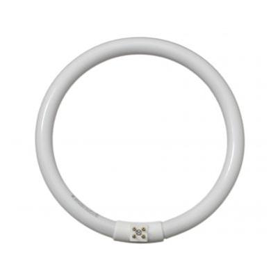 22w/T5 Circular Fluorescent Tube