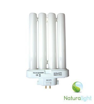 12w Circular Fluorescent Tube