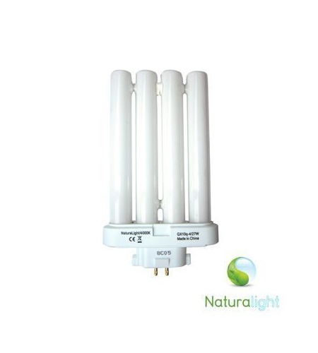 Naturalight Tube 27w N0005