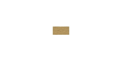 Rainbow Elastic 3mm Champagne