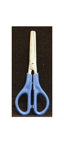 Blunt Tip 5" Scissor