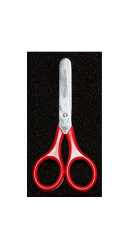 Blunt Tip 4" Scissor