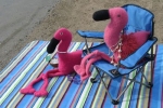 Flamingo Beach Party 221