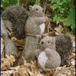 Nuts About Squirrels 229