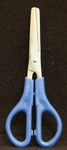 Blunt Tip 5" Scissor